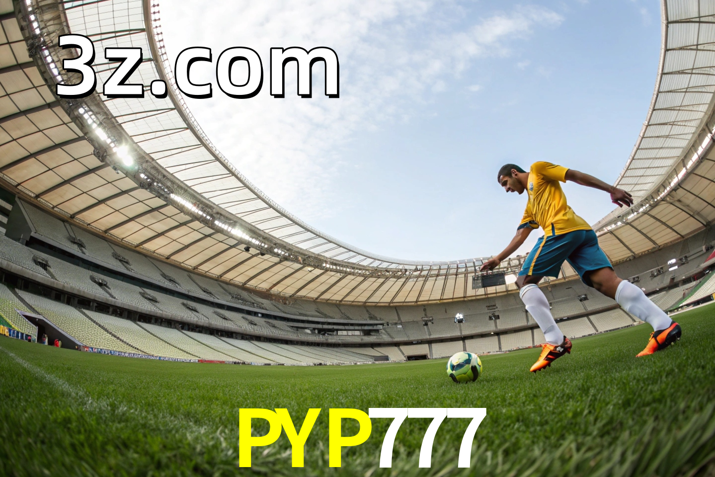 apostas esportivas